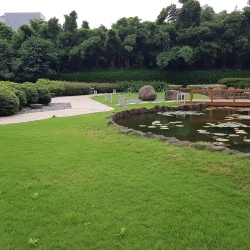 Tcs Japanese Zen Garden in Hinjewadi,Pune - Parks near me in Pune