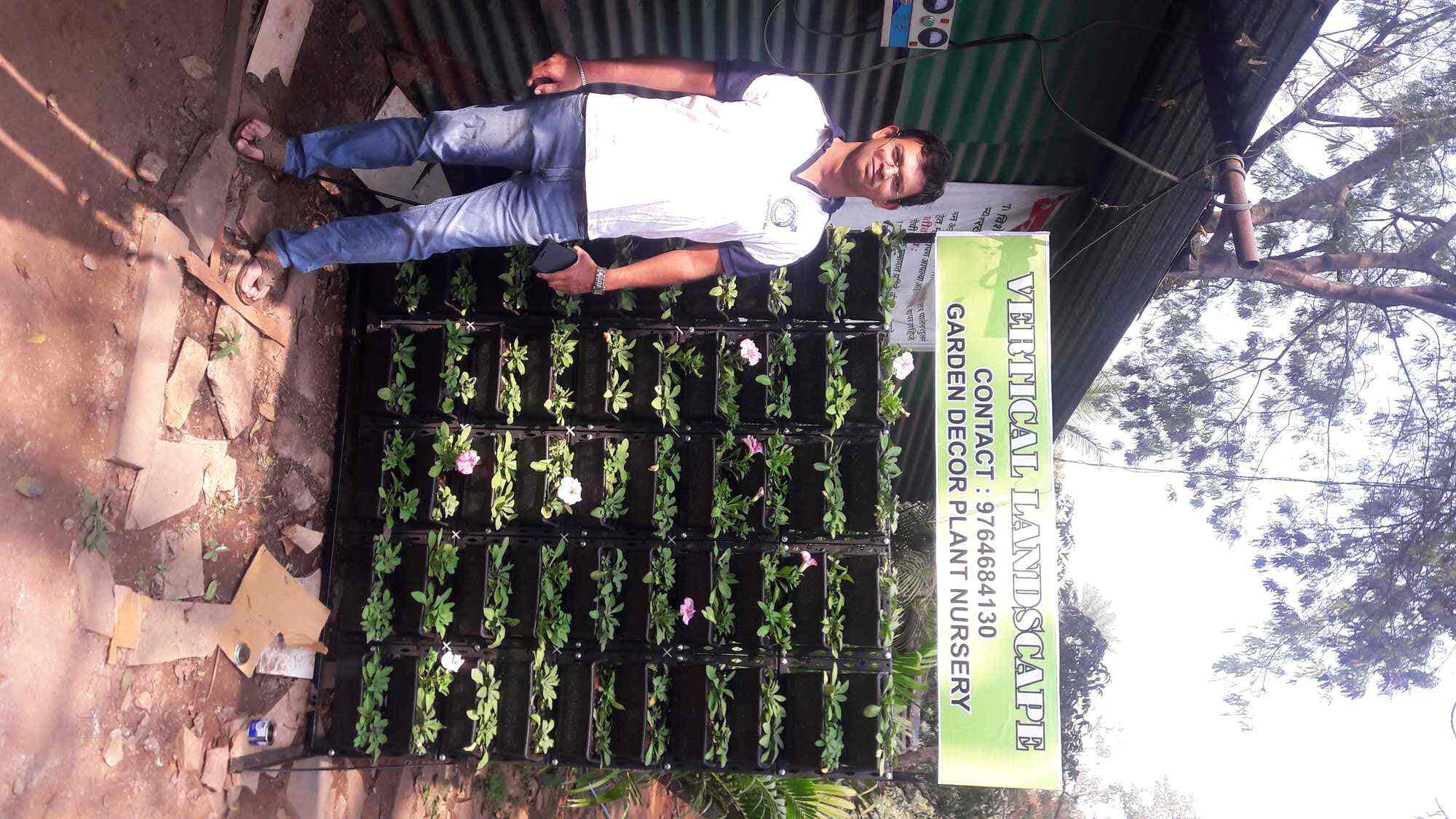 Garden Decor Plant Nursery, Kothrud Plant Nurseries in Pune Justdial