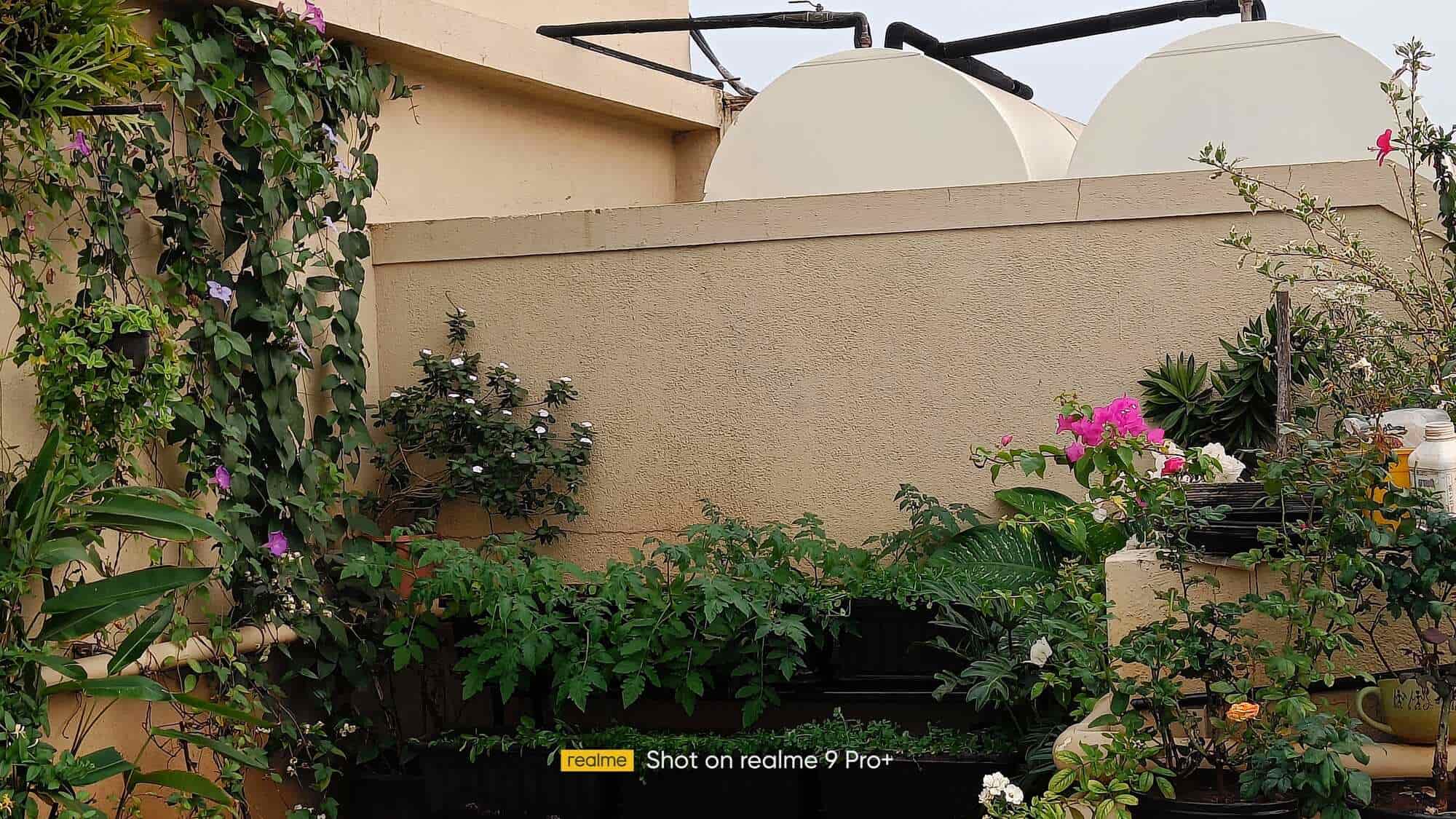 Top Plant Nurseries in Quarter Gate,Pune Best Government Plant