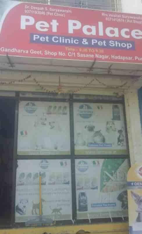 Veterinary Doctor In Wagholi 2025