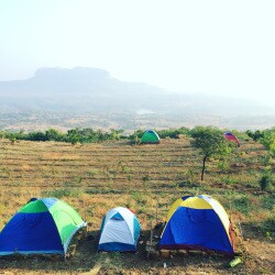 Canary Forest Camping Camp Organisers In Pune Justdial