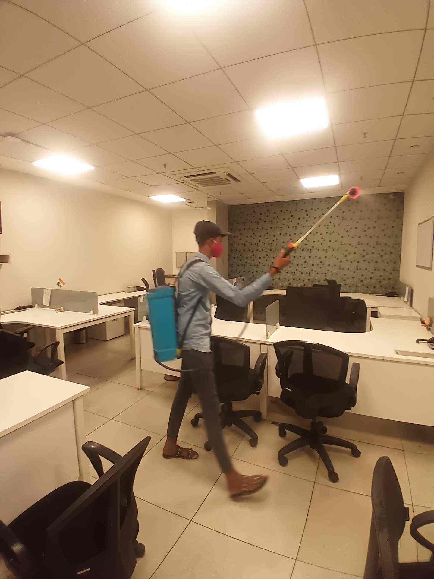 Top Herbal Pest Control Services in Magarpatta CityHadapsar, Pune near