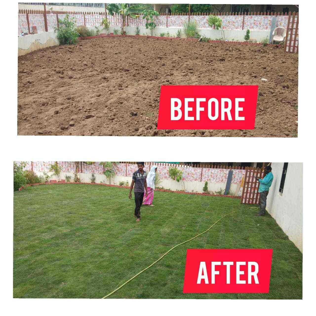 Top Lawn Grass Growers in Shirur Best Lawn Grass Growers Pune near me