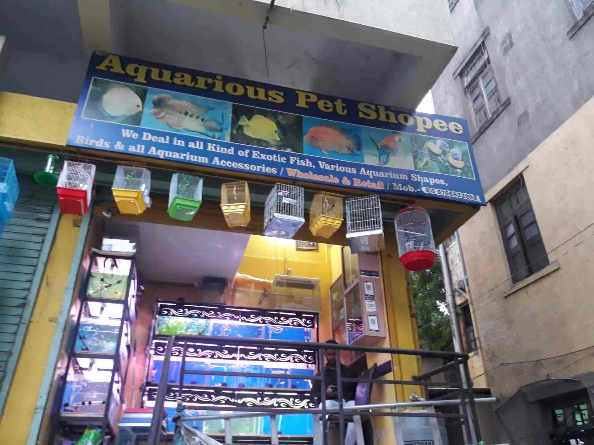 Aquarious Pet Shopee, Nana Peth Aquarium Fish Dealers in Pune Justdial