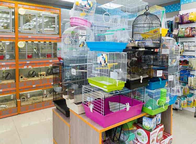 Top 100 Kennel Dealers in Pune Justdial