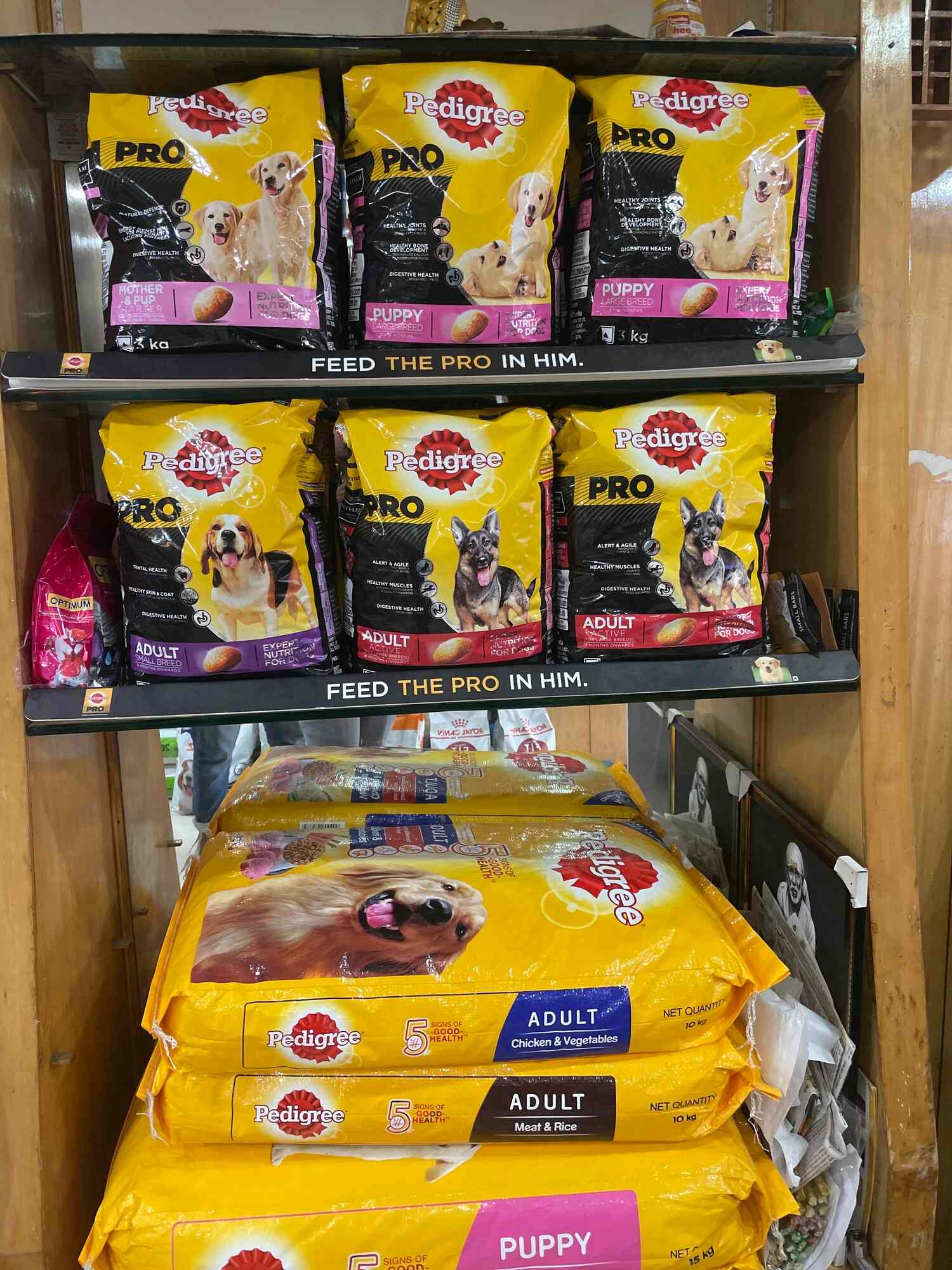 Top Pet Care Takers in Hinjewadi Best Dog Care Takers Pune near me