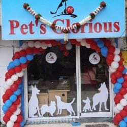 Top Eukanuba Pet Food Dealers in Karad - Best Eukanuba Pet Food ...