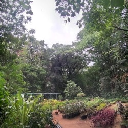Alice Garden in Ganeshkhind,Pune - Parks near me in Pune - Justdial