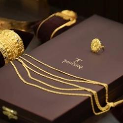 Tanishq sale kamla nagar