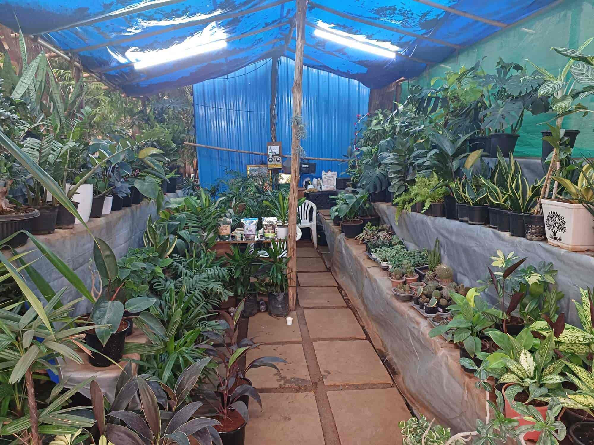 Top Garden Developers in Kondhwe Dhawade, Pune - Best Gardening