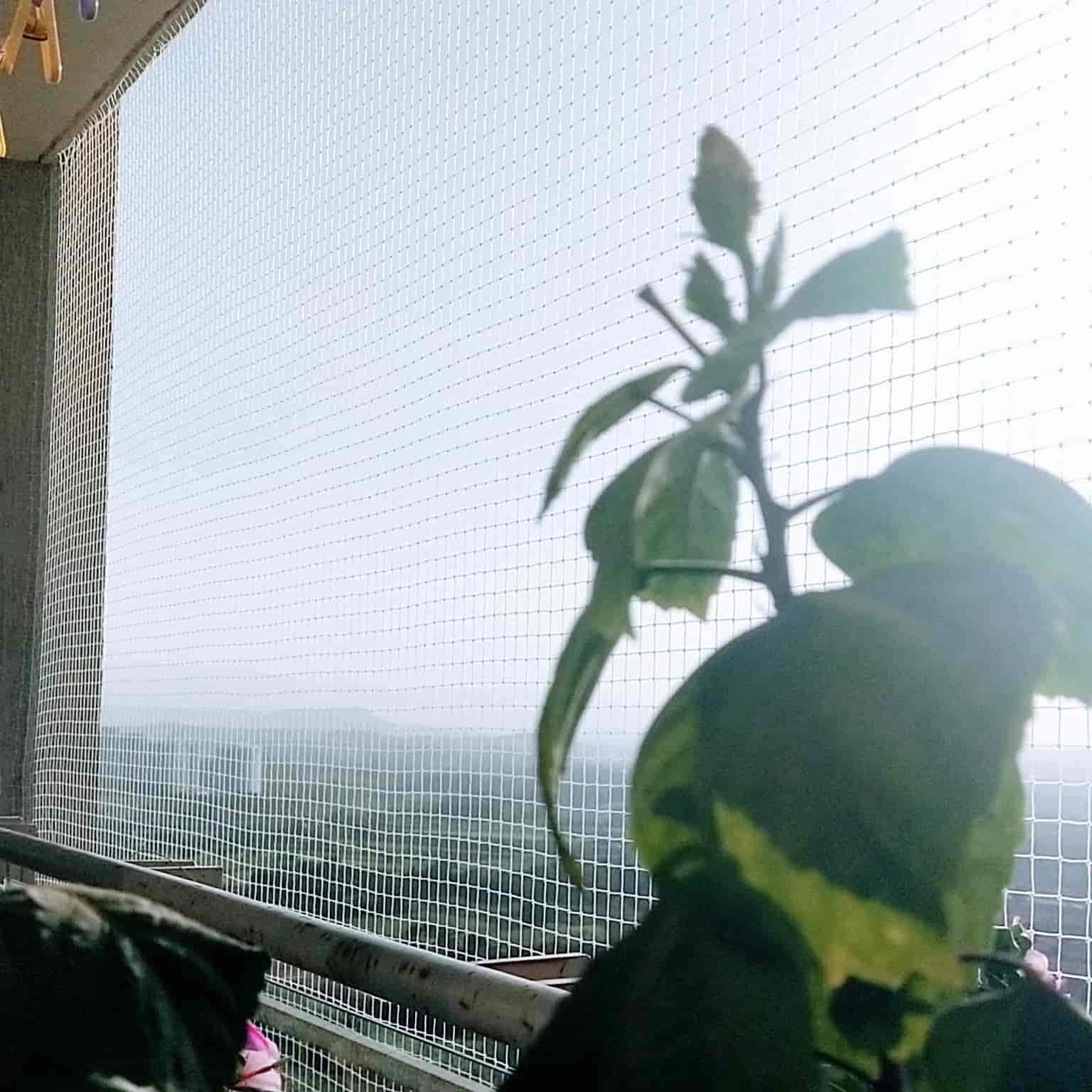 Ensuring Safety and Comfort: Bird and Child Protection Solutions in Basmat Road Parbhani