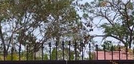 Top Childrens Homes In Pune Station Best Orphanages Near Me Justdial A home for children whose parents are dead or unable to care for them 2. justdial
