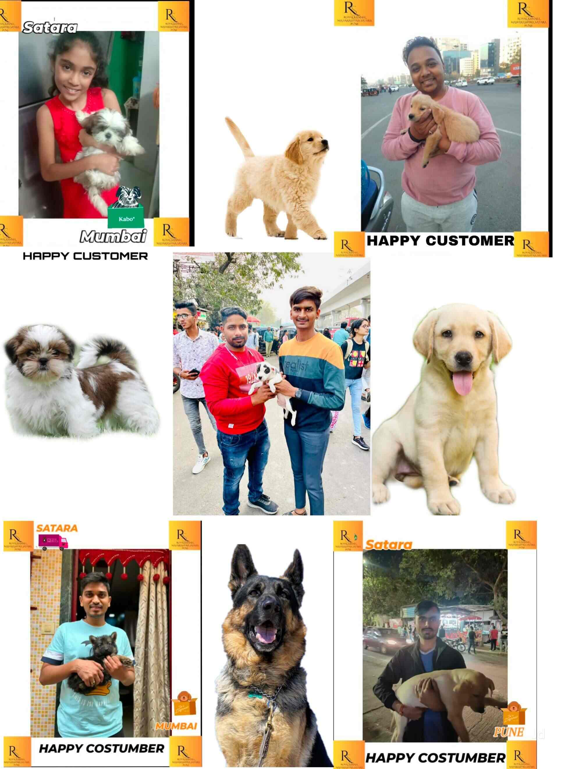 Royal kennel pune in Donje,Pune Best Pet Shops in Pune Justdial