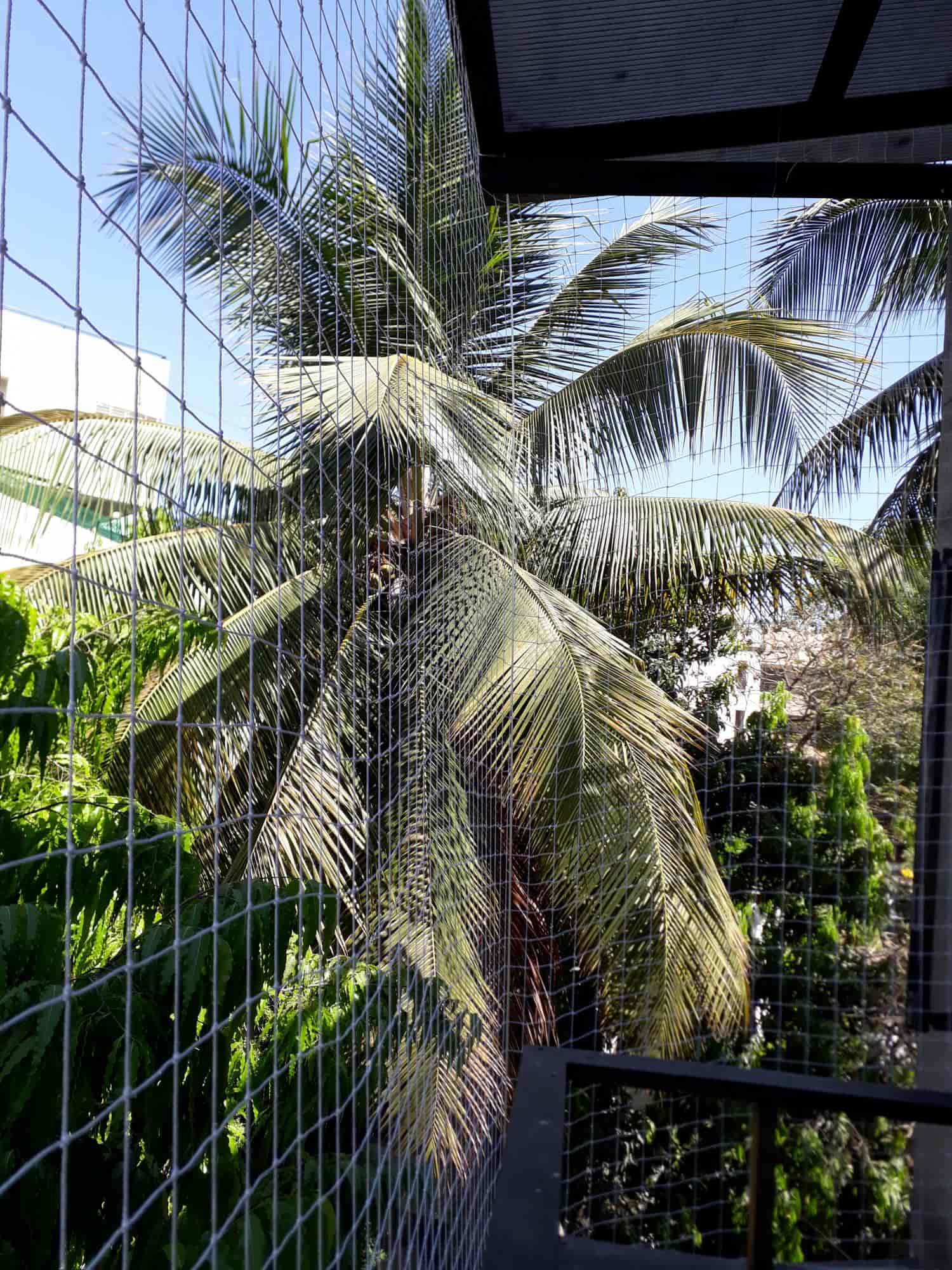 Ensuring Safety and Bird Control in Paradise Garden Akola — Expert Tips for Bird Nets, Invisible Grills, and Child Safety