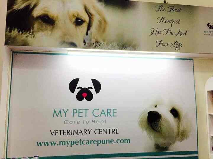 veterinary doctor in wagholi