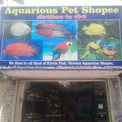 Aquarius sales pet shop