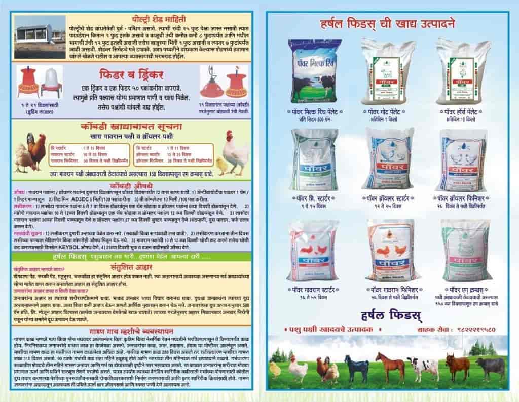 Top Cattle Feed Manufacturers in Pune कैटल फीड मनुफक्चरर्स, पुणे
