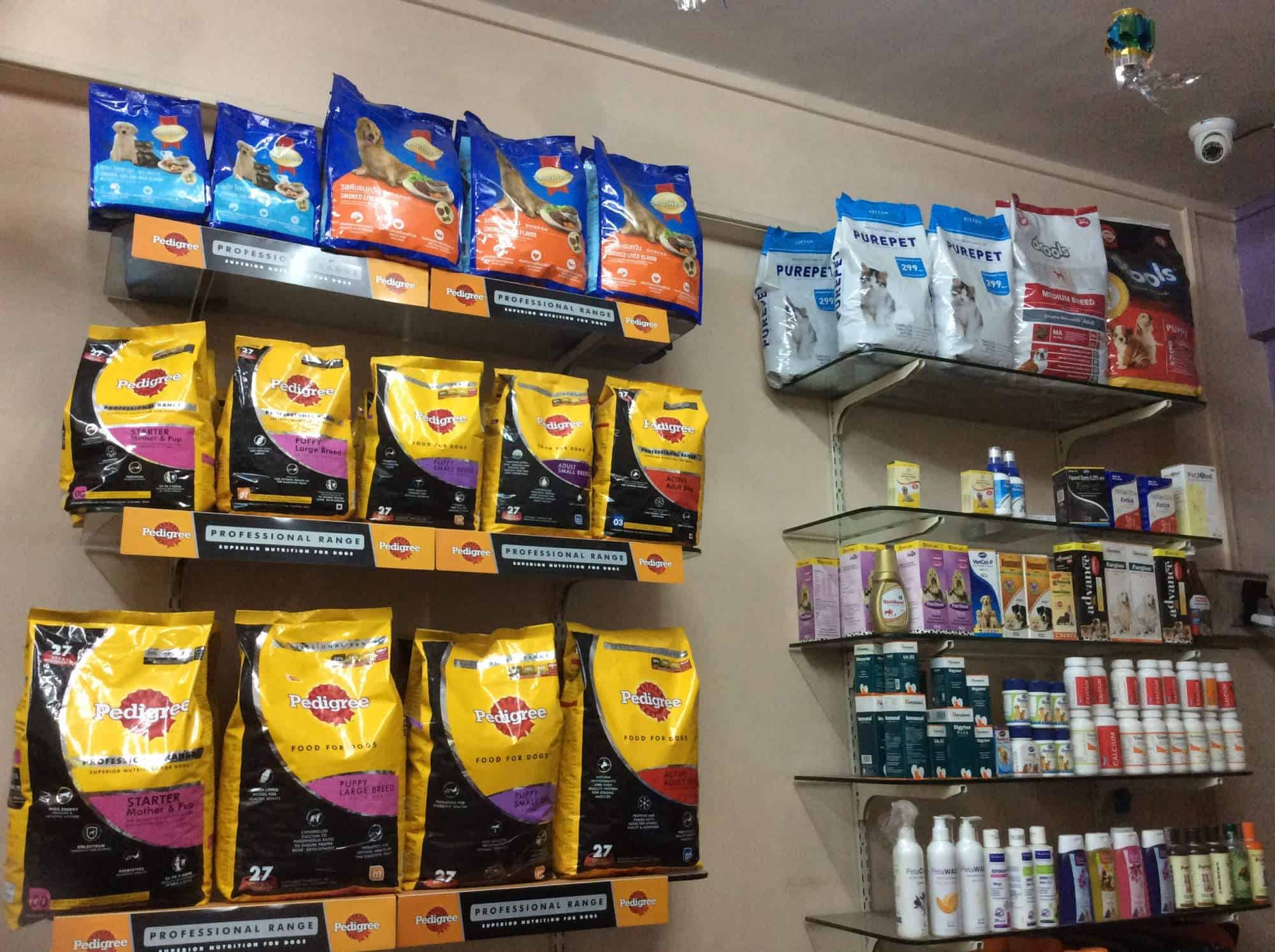 Pets Glorious, Bibvewadi Pet Shops in Pune Justdial