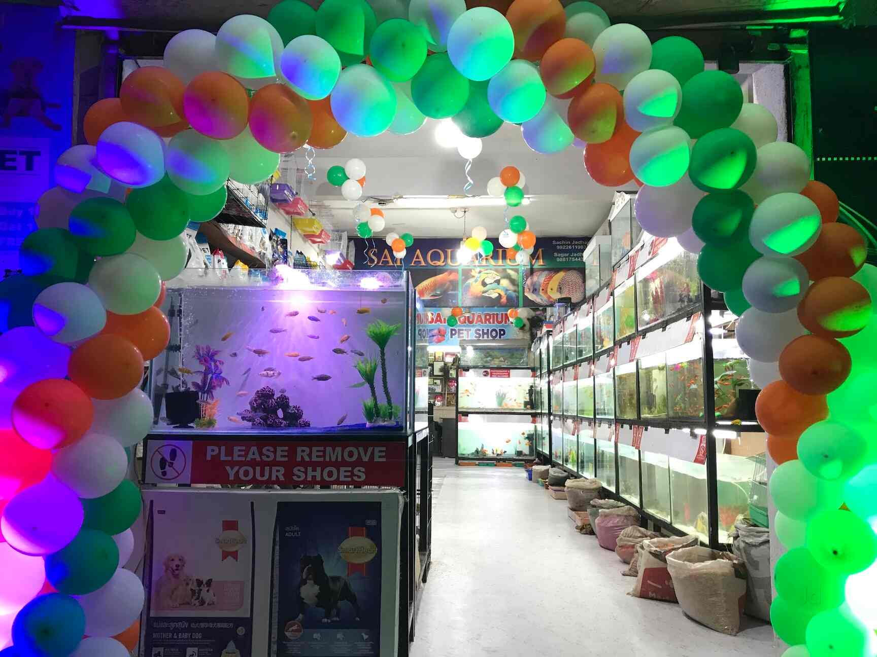 Top Aquarium Bolivian Ram Fish Dealers in Pune near me Justdial