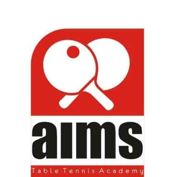 Top Table Tennis Clubs in Viman Nagar Best Tt Clubs Pune near me