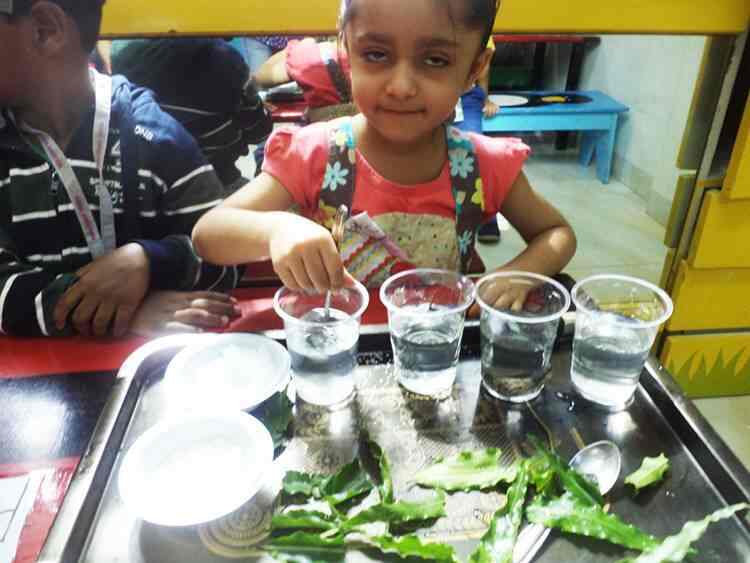 Find list of Podar Jumbo Kids in KharalwadiPimpri Podar Jumbo Kids