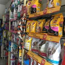 Pets Empire in Dhankawadi,Pune - Best Pet Shops For Birds in Pune - Justdial