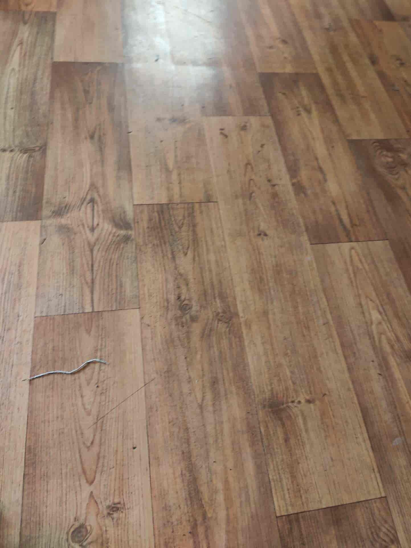 Top Herbal Pest Control Services in Magarpatta CityHadapsar, Pune near