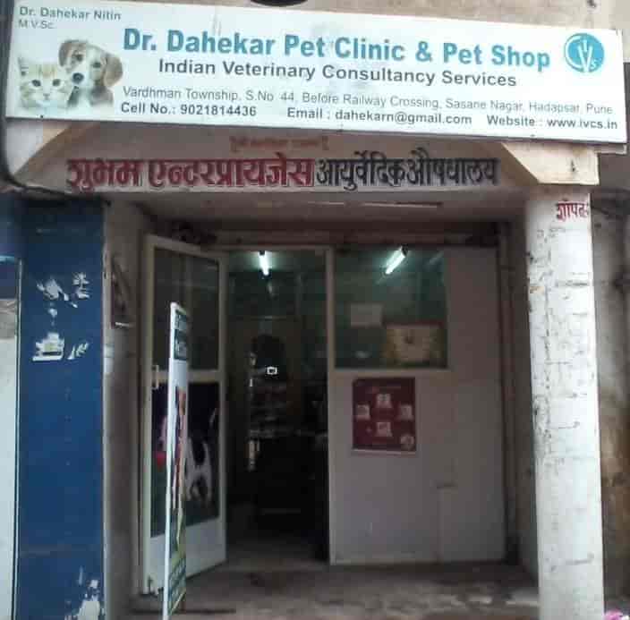 blue mountain food dog