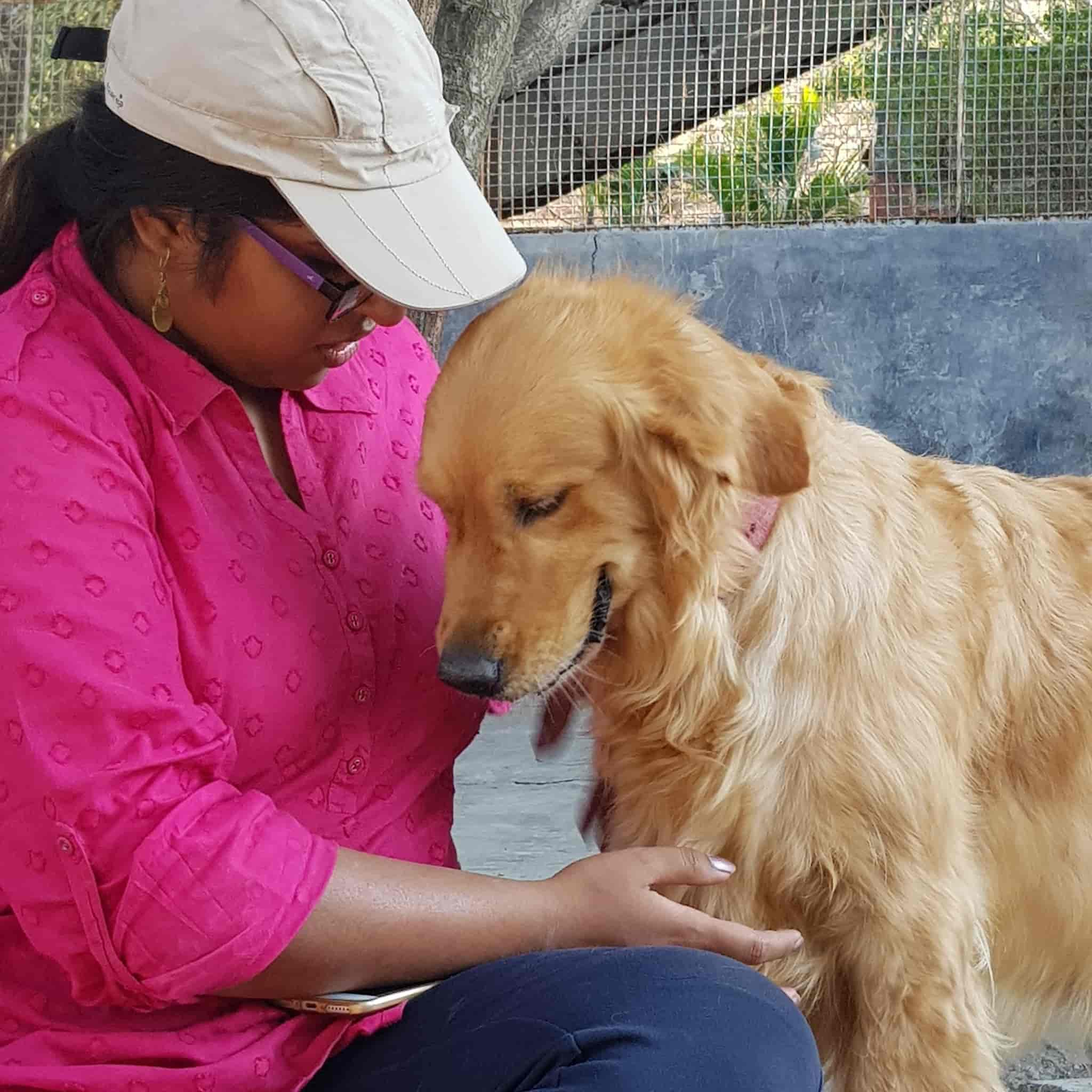 Top Pet Care Takers in Hinjewadi Best Dog Care Takers Pune near me