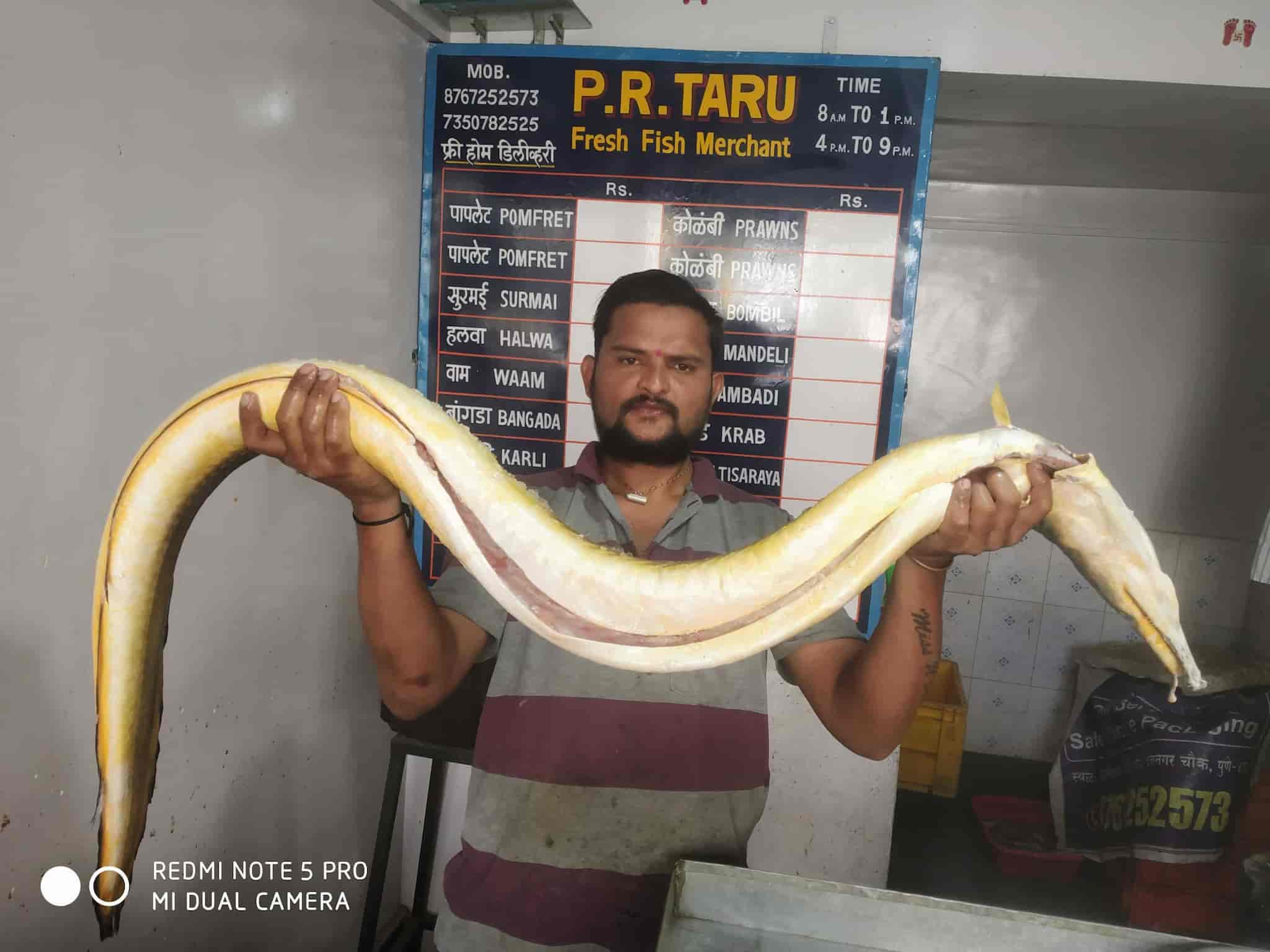 Fish Retailers in Katraj, Pune Fish Suppliers Justdial