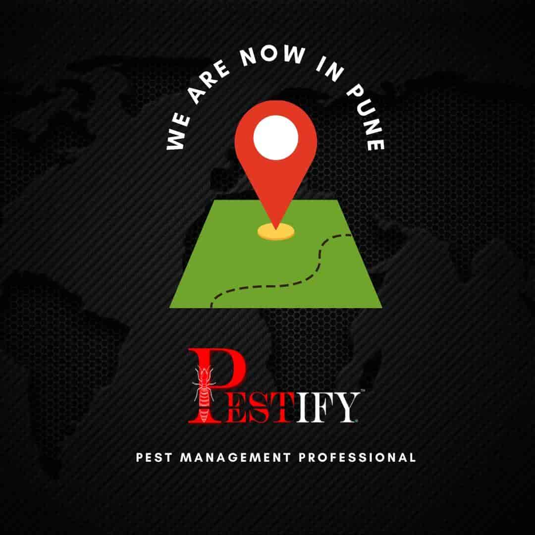 Pestify The Pest Control Services in Wakad,Pune Best Residential Pest