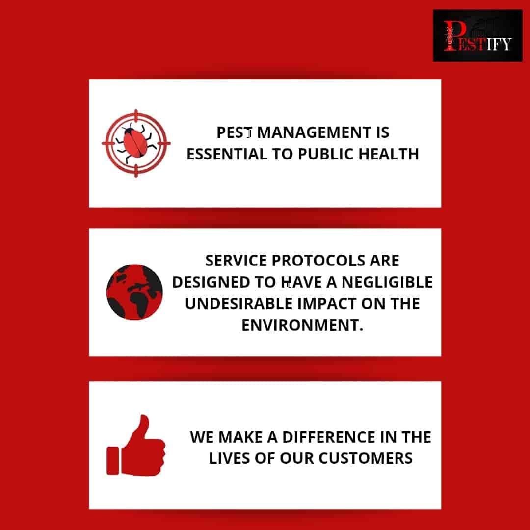 Pestify The Pest Control Services in Wakad,Pune Best Residential Pest