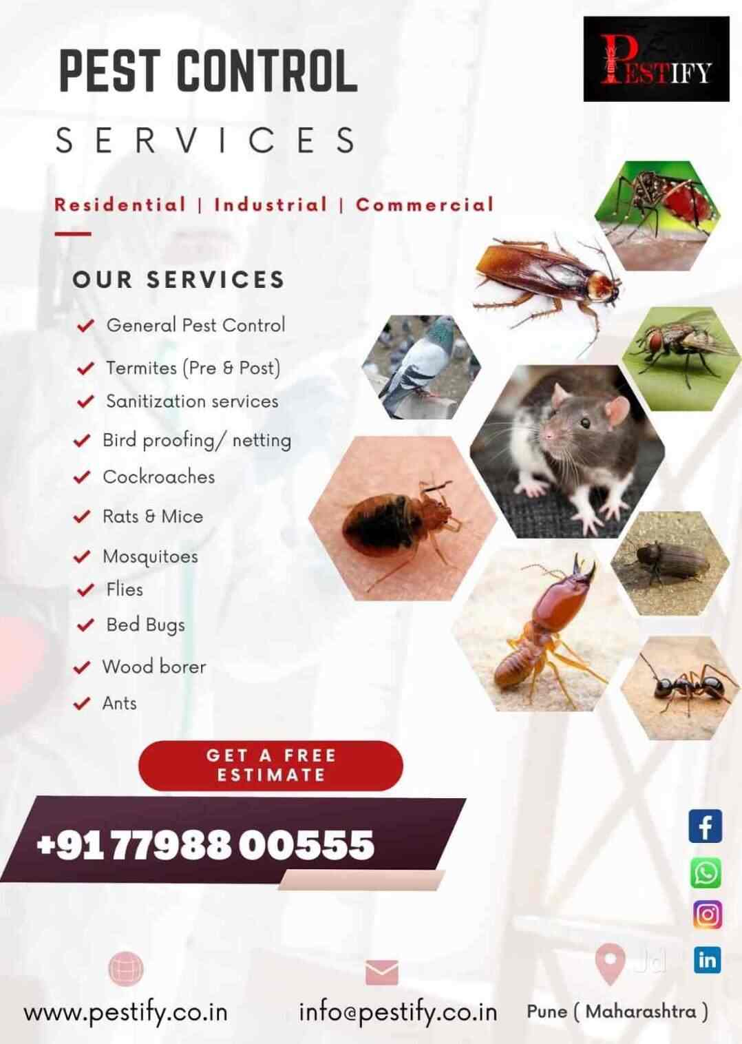 Pestify The Pest Control Services in Wakad,Pune Best Residential Pest