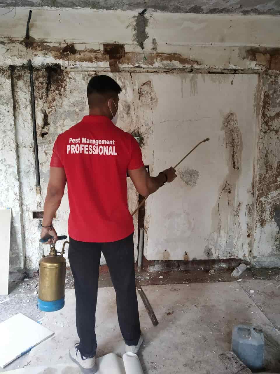 Pestify The Pest Control Services in Wakad,Pune Best Residential Pest