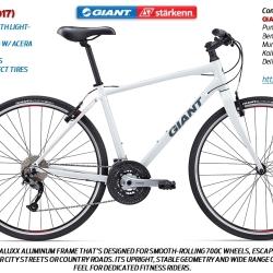 Giant starkenn cycling world hot sale