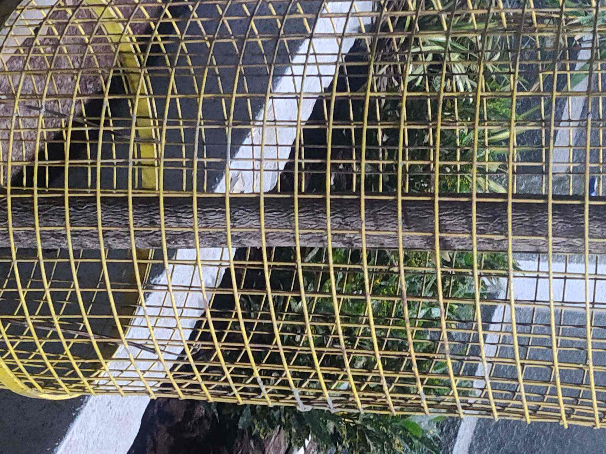 Ensuring Safety and Comfort: The Best Pigeon Net and Invisible Grill Solutions in Alandi Road, Pune