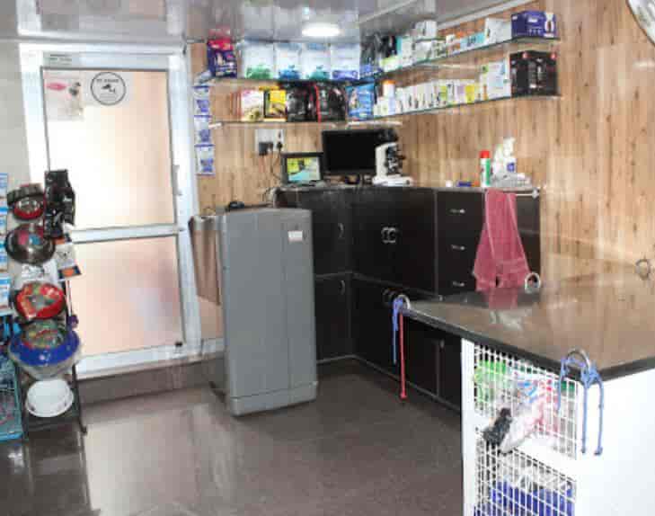 Dr. Amber Mishra (Animal Care Centre Veterinary Clinic) in Rae Bareli - Best Veterinary Doctors in Raebareli - Justdial Dr. Amber Mishra (Animal Care Centre Veterinary Clinic) in Rae Bareli - Best Veterinary Doctors in Raebareli - Justdial