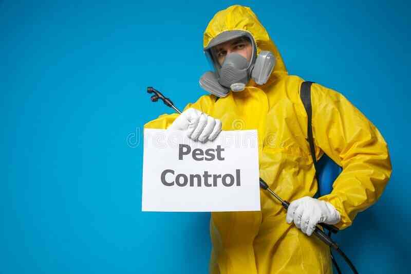 S S Pest Control in Amlihdih,Raipurchhattisgarh Best Commercial Pest