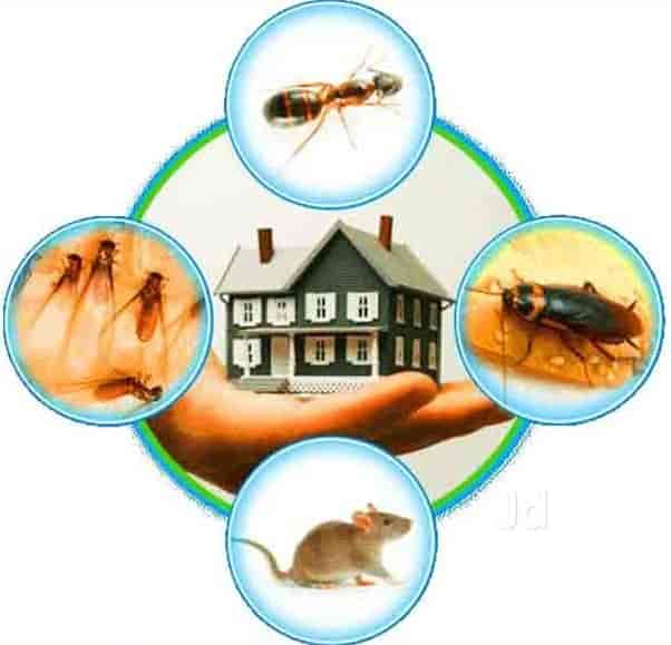 S S Pest Control in Amlihdih,Raipurchhattisgarh Best Commercial Pest