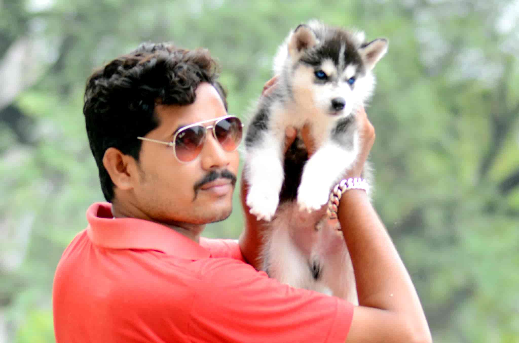 Top 10 Pet Shops For Pomeranian Dog In Raipur Chhattisgarh Best Pet Shops For Pomerian Dogs Justdial