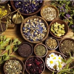 Top Raw Herb Wholesalers in Raipur Chhattisgarh near me - Justdial