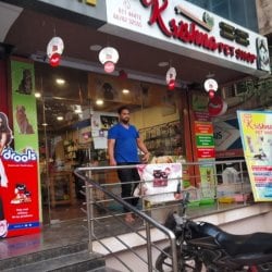 Top 10 Pet Shops For Pomeranian Dog In Raipur Chhattisgarh Best Pet Shops For Pomerian Dogs Justdial