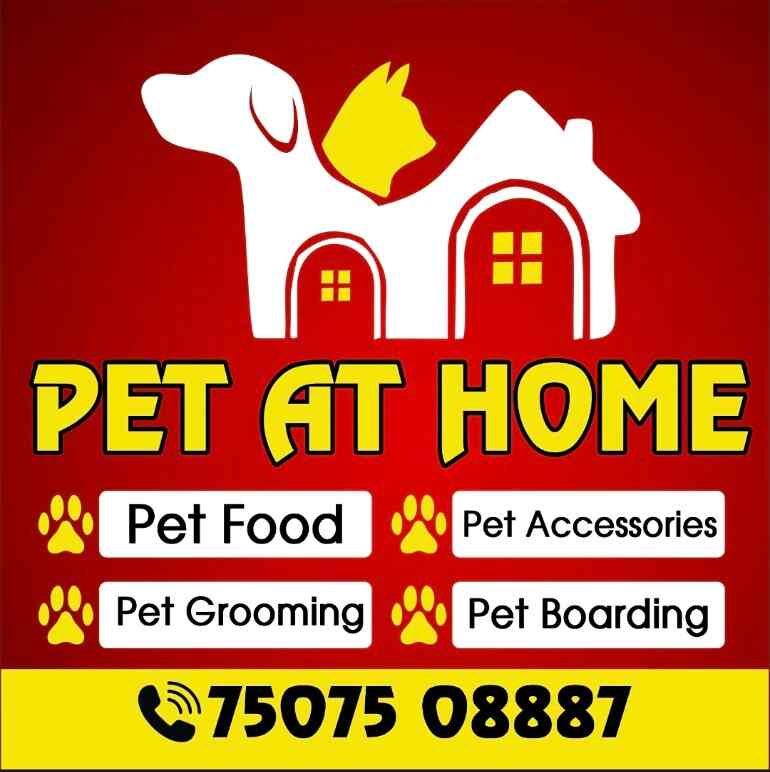 Top Pet Boarding Services in Raipur Chhattisgarh Justdial