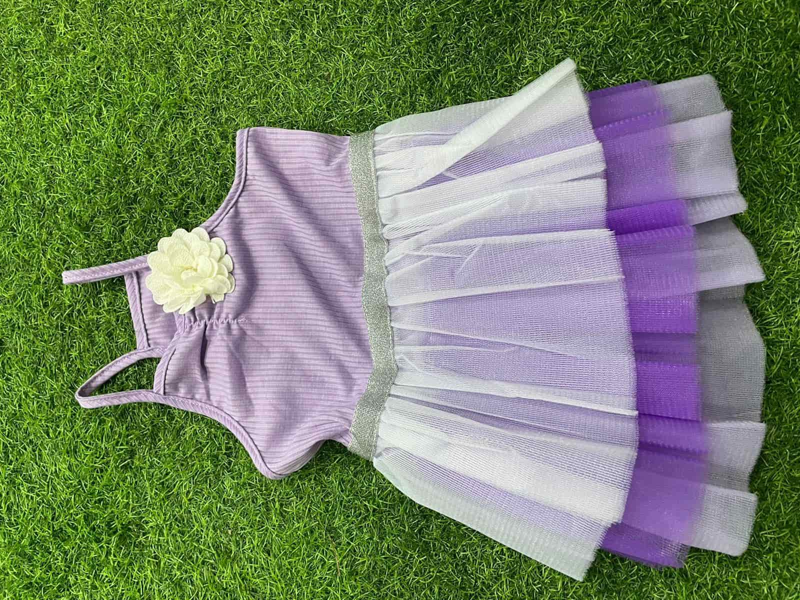 Top Pet Shops For Golden Retriever Dog in Rajahmundry Best Pet Stores