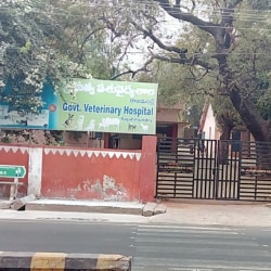 Govt animal hospital near hot sale me