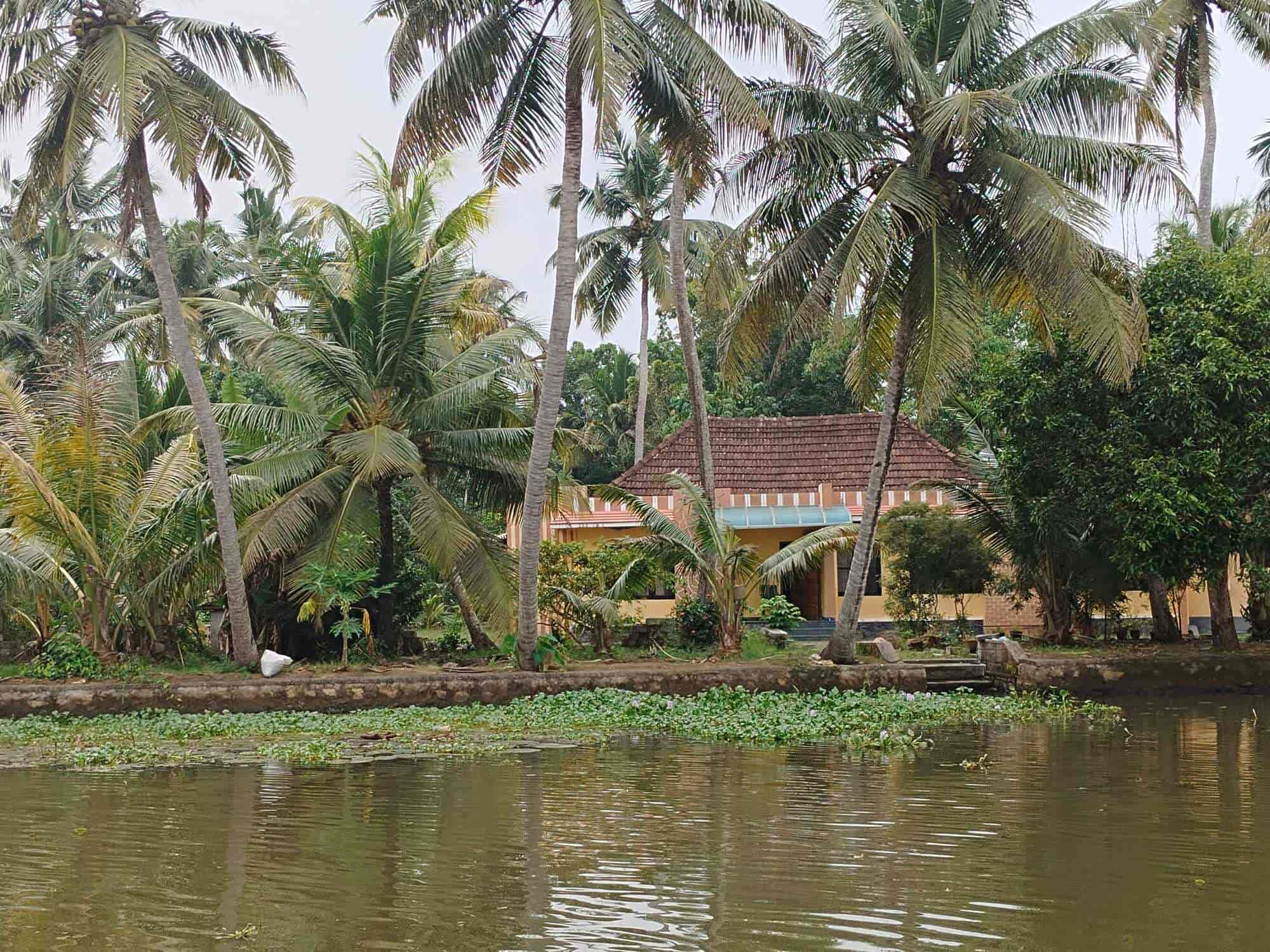 5 STAR House Keeping Cleaning Services in Thadi Thota,Rajahmundry