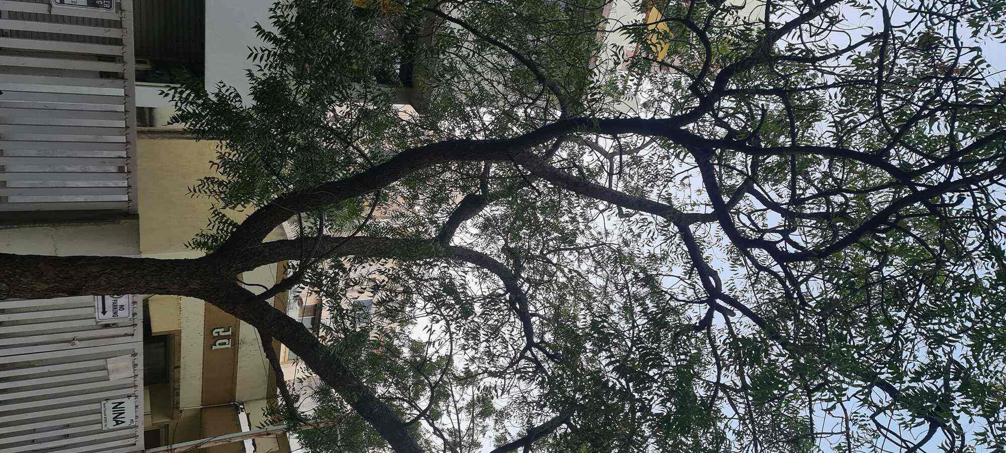 Maruti Furniture in Rajkot City,Rajkot Best Furniture Dealers in Rajkot Justdial