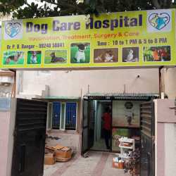 Pet Care In Ahmedabad Emergency Vet Low Income List Of Nearest