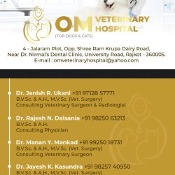 Om Veterinary Hospital in University Road,Rajkot - Best Veterinary Hospitals in Rajkot - Justdial Om Veterinary Hospital in University Road,Rajkot - Best Veterinary Hospitals in Rajkot - Justdial