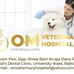 Om Veterinary Hospital in University Road,Rajkot - Best Veterinary Hospitals in Rajkot - Justdial Om Veterinary Hospital in University Road,Rajkot - Best Veterinary Hospitals in Rajkot - Justdial
